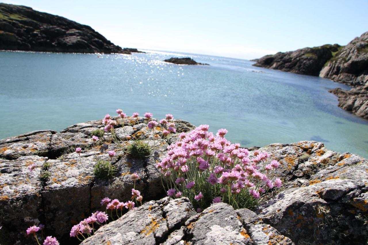 Myrtle * Lairg